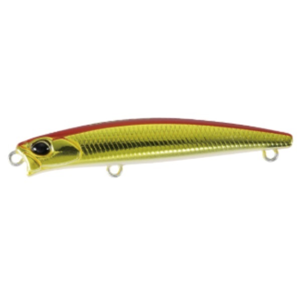 テトラワークス トトスリムリップレス 50S(ASA0026 アカキン)